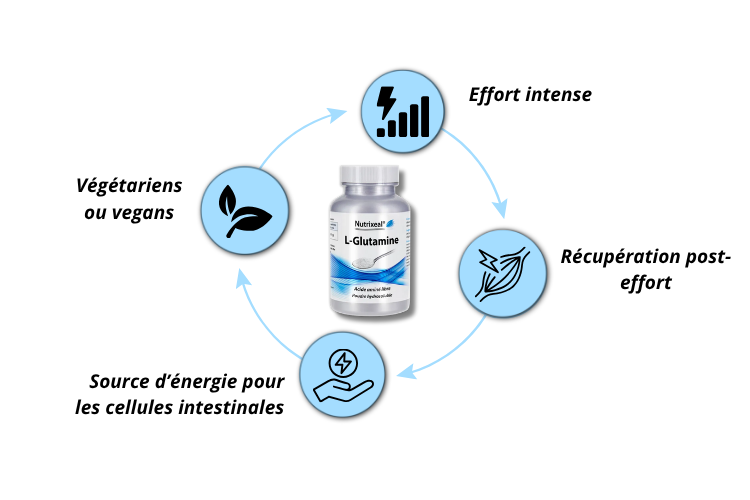 C'est Pour qui L-glutamine
